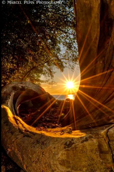 Beautiful Nature image