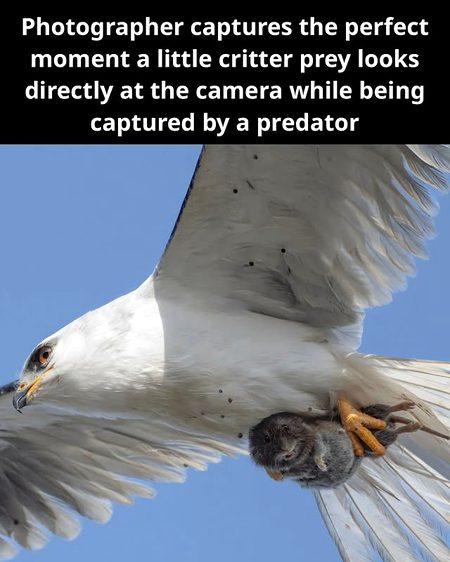 Interesting Posts image