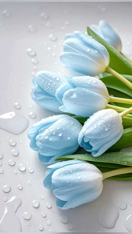 Beautiful Nature image