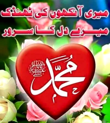 Islamic Quotes image