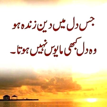 Life Advice image