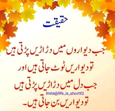 Motivational Quotes image