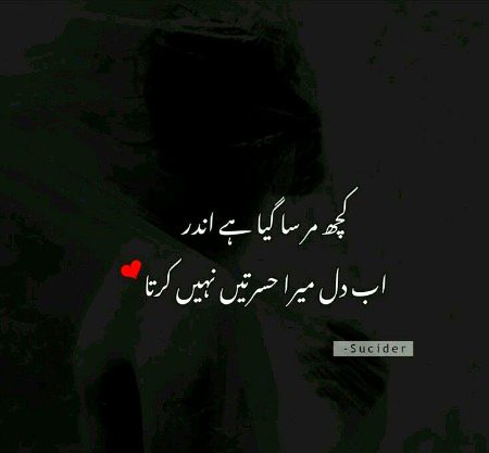 Sad Poetry image
