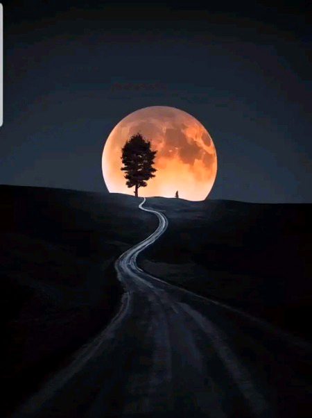 " مُیسر آنا چھوڑ دیں ۔۔۔ دور ہونے کا دُکھ برداشت کر لیں بجائے اِگنور ہونے کے دُکھ کے! ۔ " 💔🙂
🌼