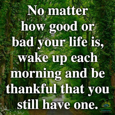 Life Advice image
