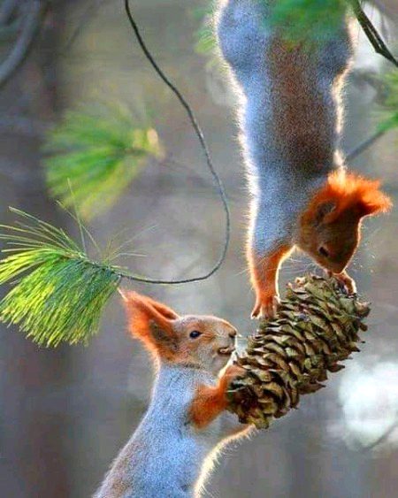 Beautiful Nature image