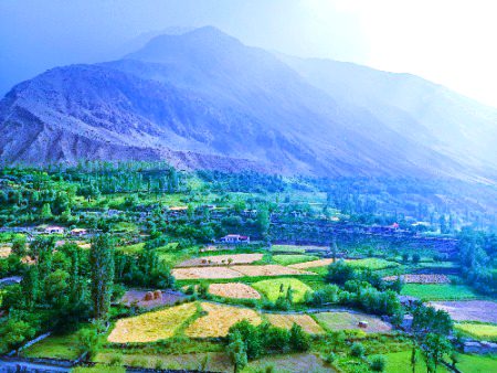 Beautiful Nature image