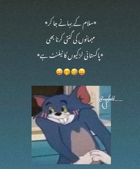 Memes & Satire image