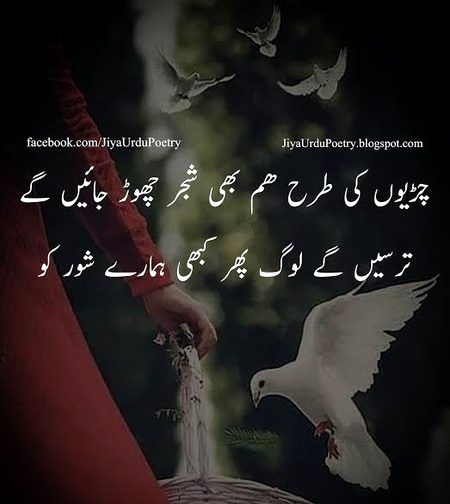 Sad Poetry image