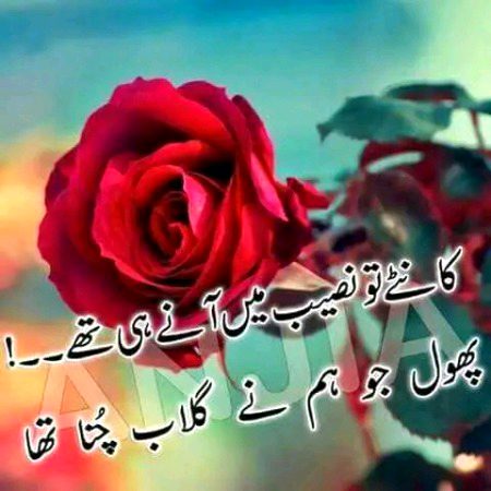 Sad Poetry image