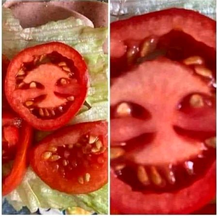 سمجھ نہیں ارہی اسے میں کھاؤں گا یا یہ مجھے کھائے گا !!!!