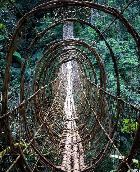 Beautiful Nature image