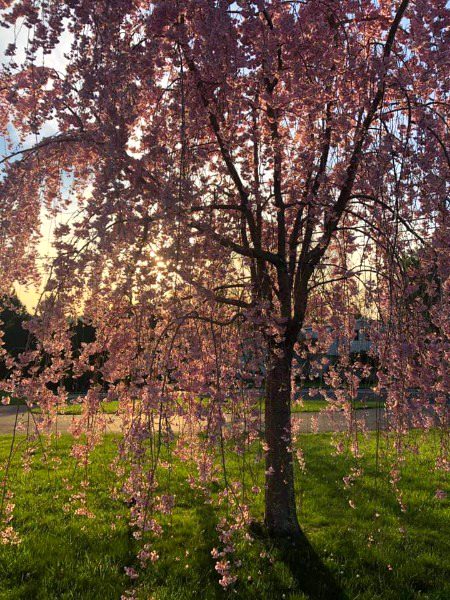 Beautiful Nature image