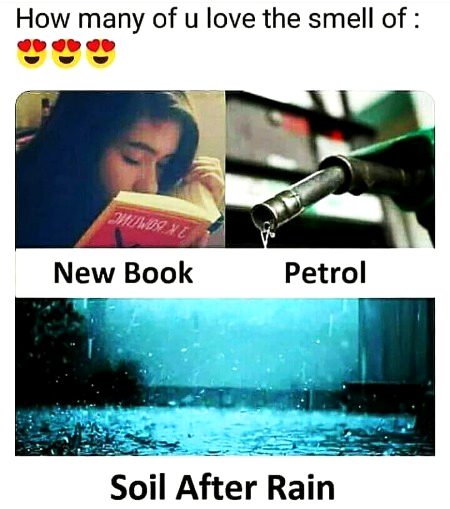 Memes & Satire image
