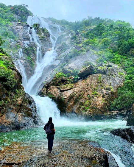 Beautiful Nature image