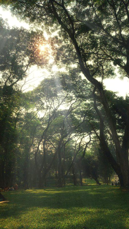 Beautiful Nature image