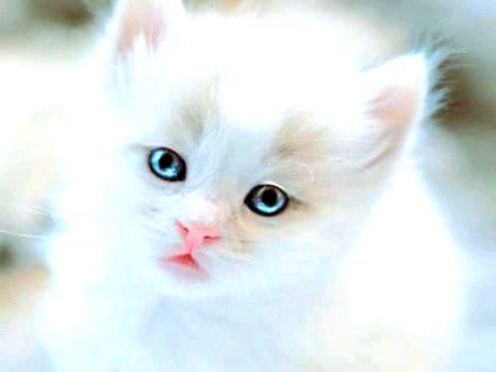 Beautiful Nature image