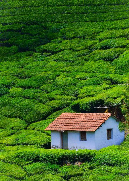 Beautiful Nature image