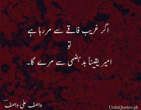 🍁Zoq_Shab🍁