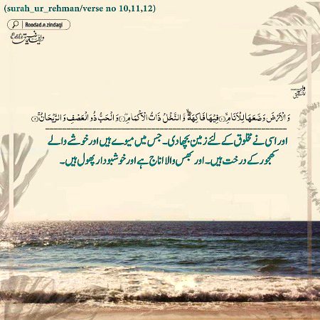 Islamic Quotes image