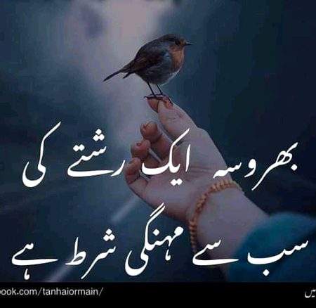 Beshak👍👍