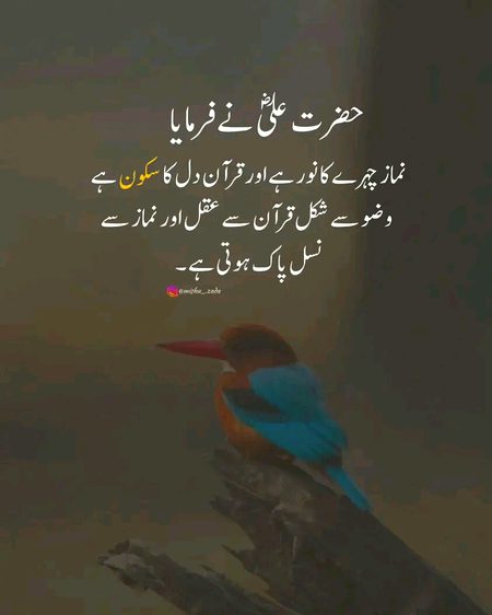 Islamic Quotes image