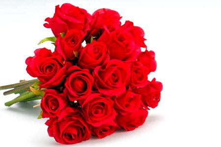 Beautiful Nature image