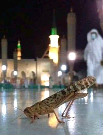Damadam.pk
