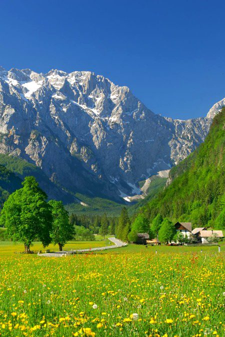 Beautiful Nature image