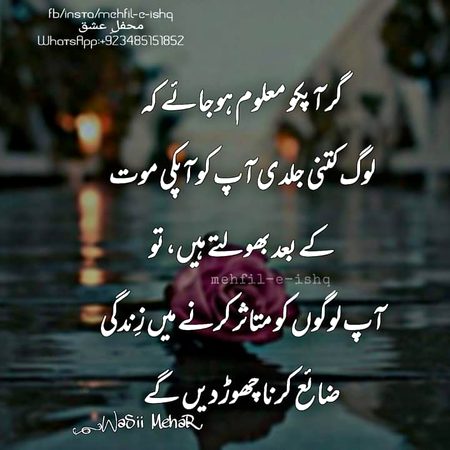 Motivational Quotes image