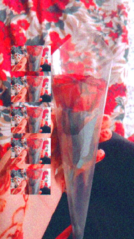 Beautiful Nature image