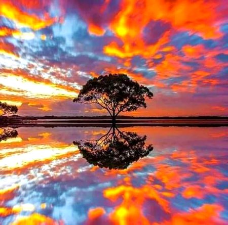 The sky painting the earth with it’s colors💌