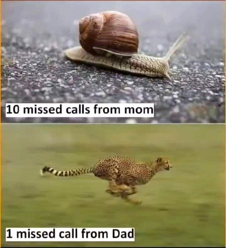 Memes & Satire image