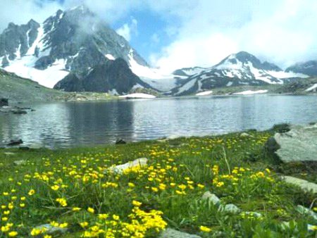 Beautiful Nature image