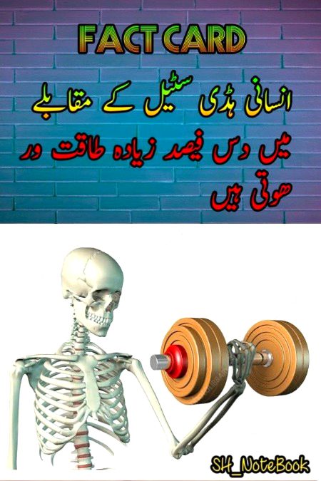 Interesting Posts image