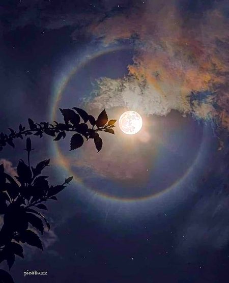 Beautiful Nature image