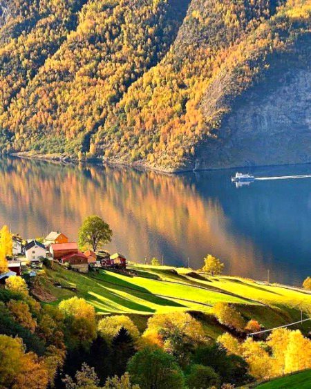 The beauty of Norway 💚💚💚💚