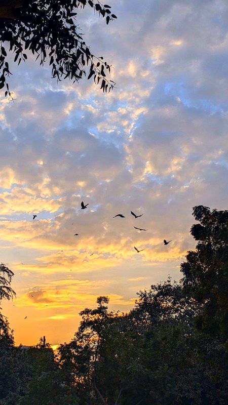 Beautiful Nature image