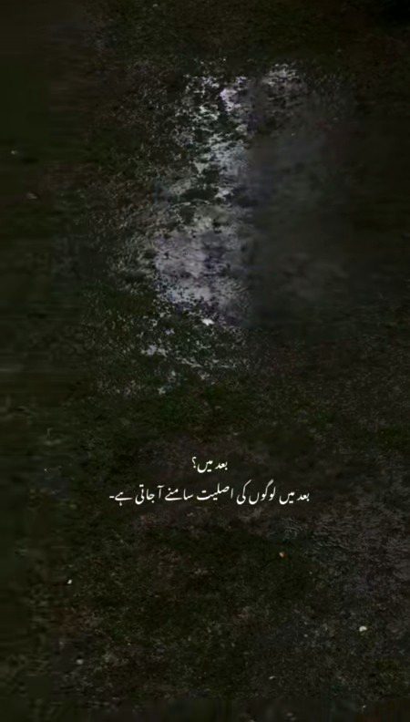 Attitude Poetry image