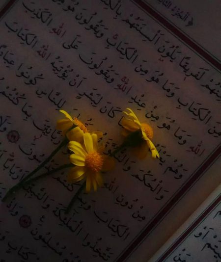 Islamic Quotes image