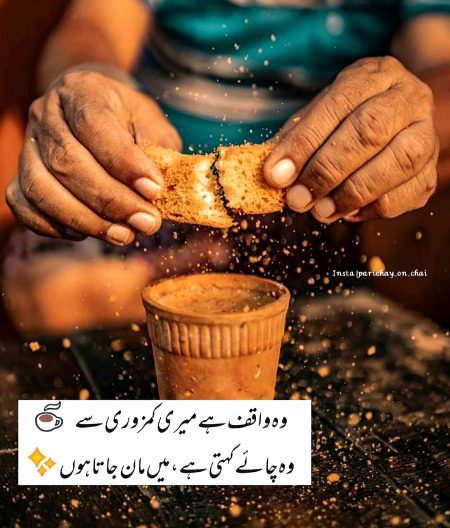ہم چائے کے بغیر جینے کی 
پہلی کوشش میں مارے جائیں گے 🙂
🫖☕🍵😋❤️🥀