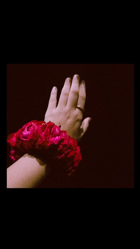 Every rose has its thorn,but that doesn't make it less beautiful..❤