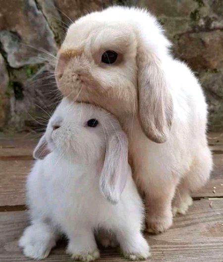 Beautiful Nature image