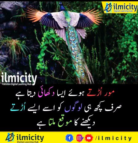 Interesting Posts image