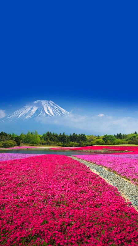 Beautiful Nature image