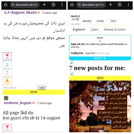 Damadam Roasting image