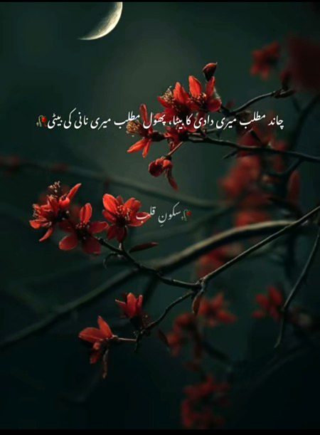 Romantic Poetry image