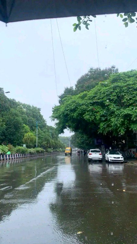 Beautiful Nature image