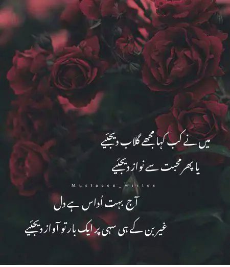 کتابوں کی طرح بہت سے الفاظ ہیں مجھ میں
اور کتابوں کی طرح بہت  خاموش  ہوں  میں