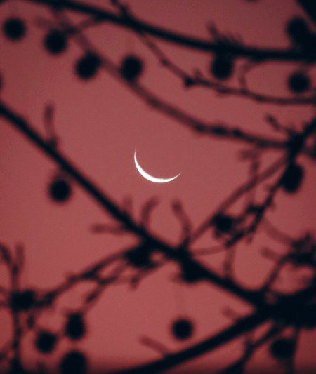 موجُود تھی  اُداسی  ابھی  پِچھلی  رات  کی
بِہلا  تھا  دل  ذرا سا کہ پھر رات  ہوگئی۔۔